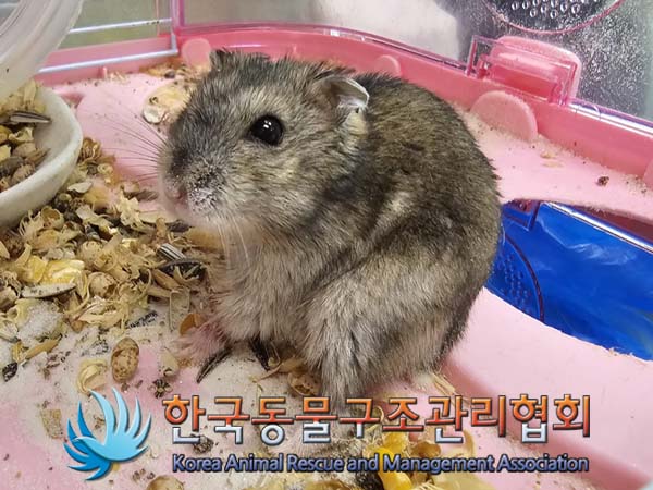 한국동물구조관리협회_411316202400231