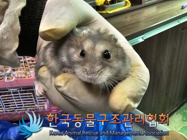한국동물구조관리협회_411316202400232