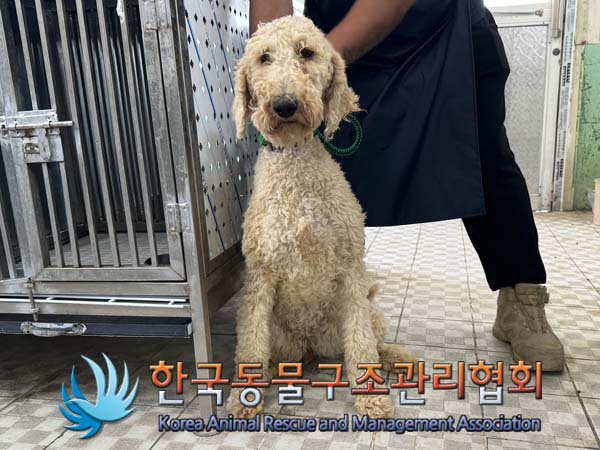한국동물구조관리협회_441414202400317