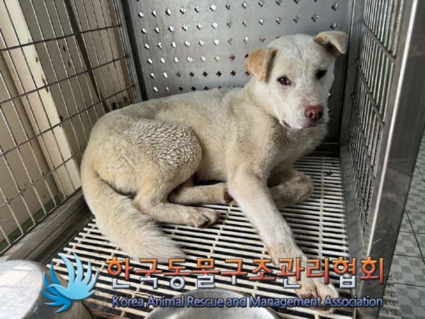 한국동물구조관리협회_411311202400326