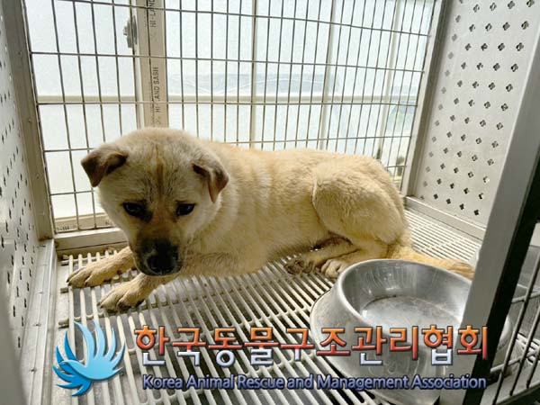 한국동물구조관리협회_441406202400768