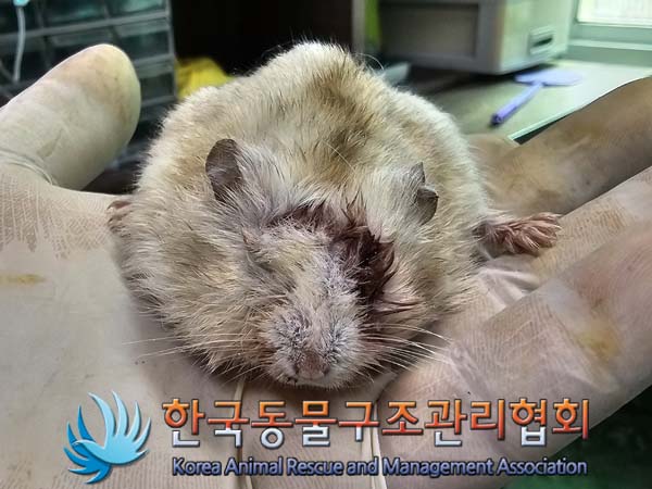 한국동물구조관리협회_411316202400230