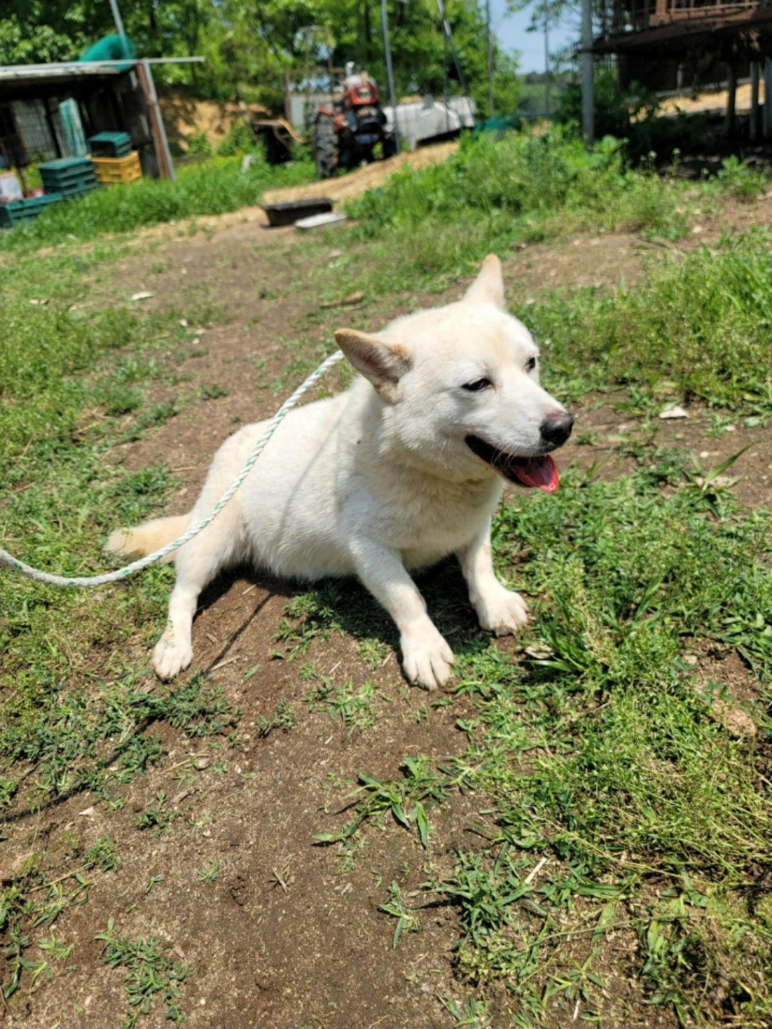 괴산증평동물보호센터_443446202400279