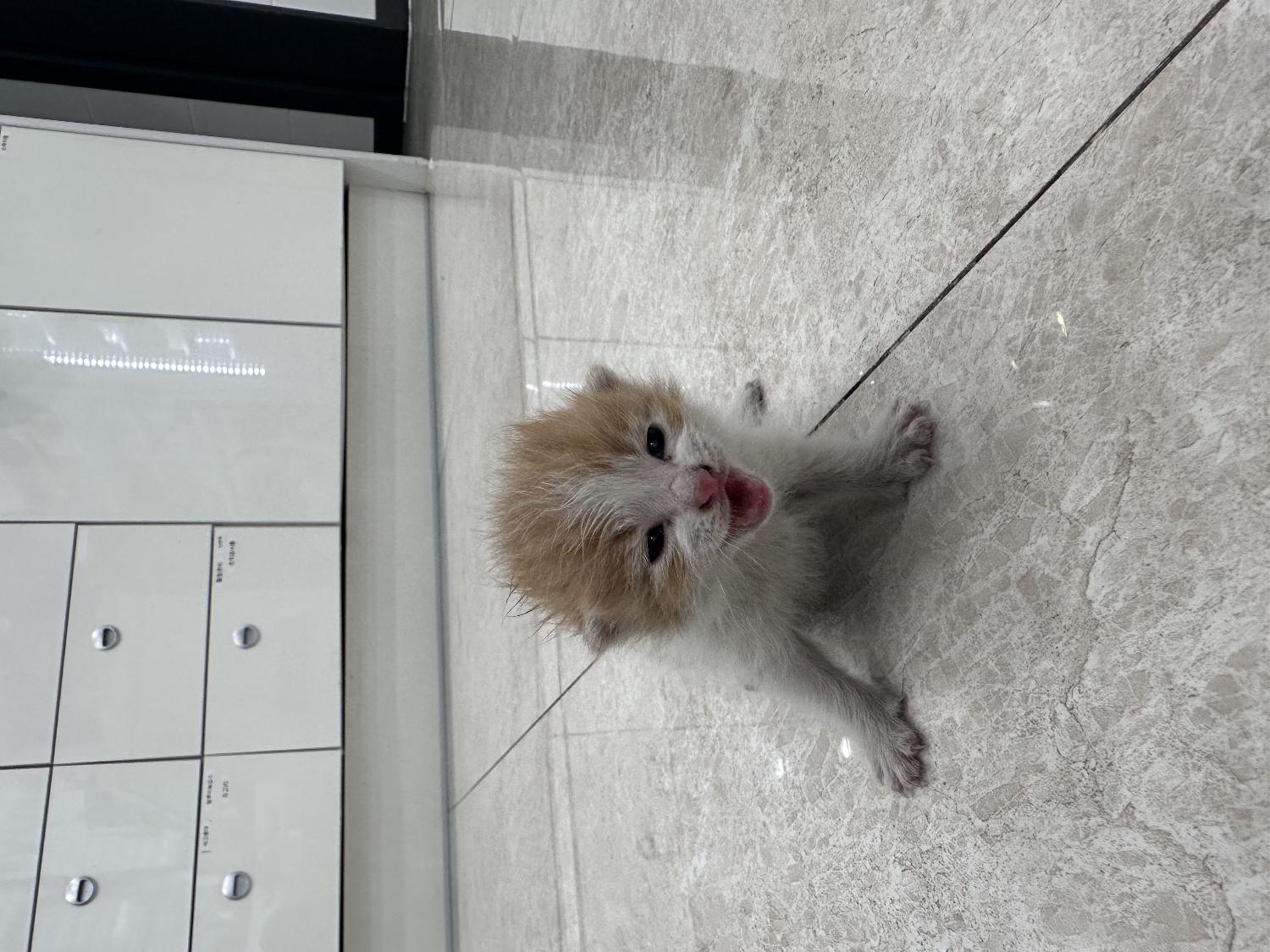 현풍동물병원_427348202400479