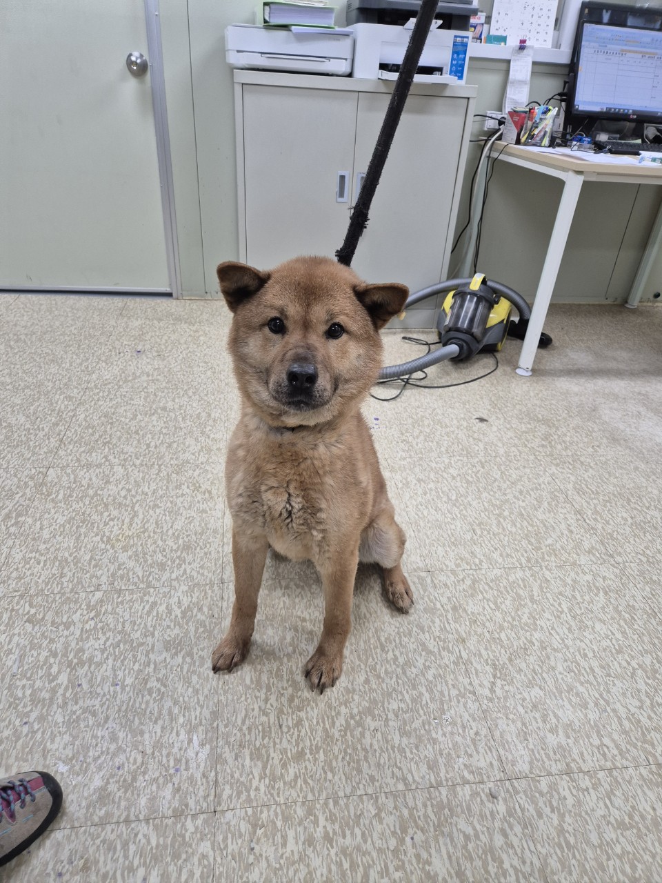 남양주시동물보호센터_441399202401467