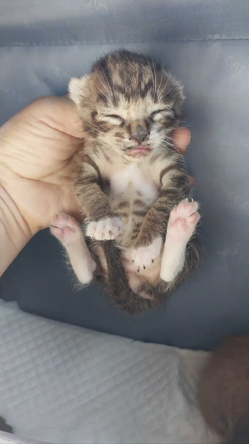 우리동물병원_428356202400851