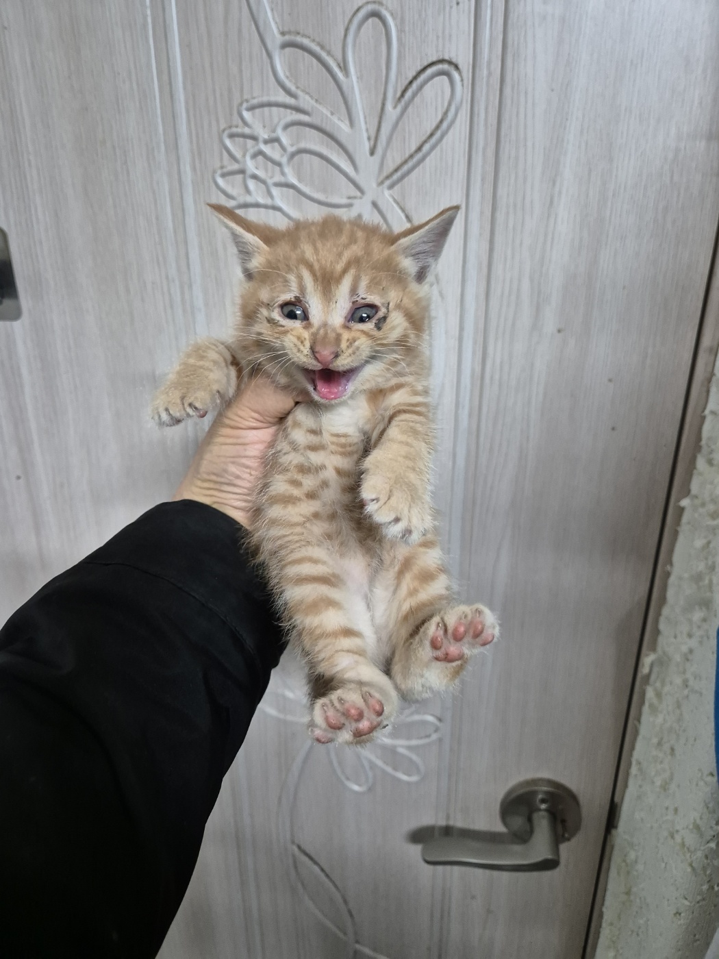 우리동물병원_428356202400866