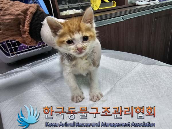 한국동물구조관리협회_411304202400228