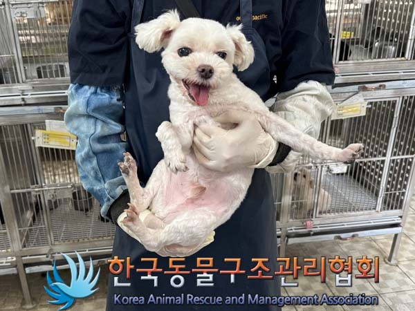 한국동물구조관리협회_411304202400227
