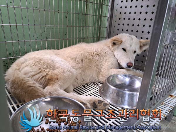 한국동물구조관리협회_441414202400318