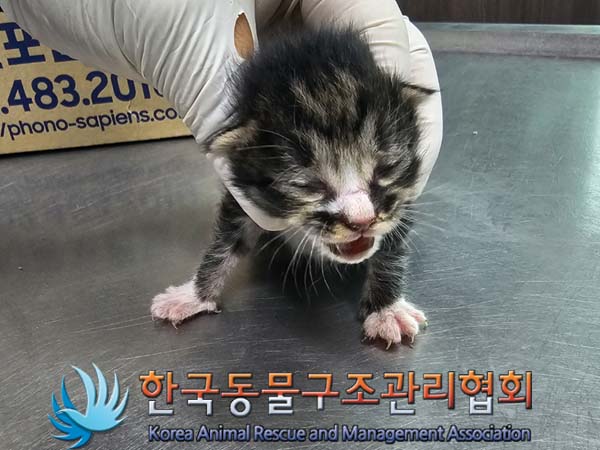 한국동물구조관리협회_441560202400506