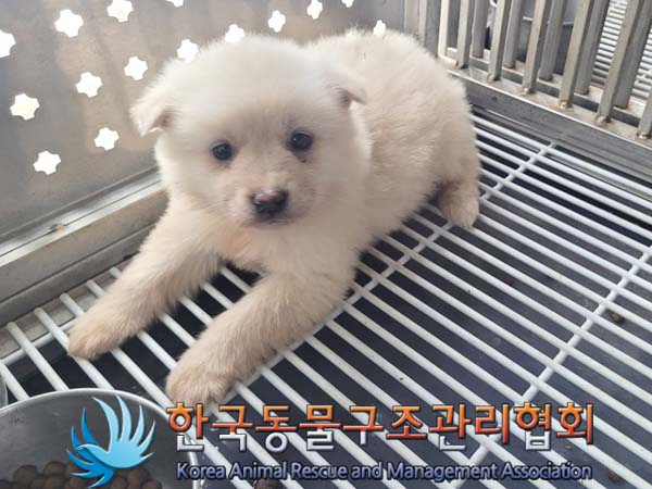 한국동물구조관리협회_441414202400244