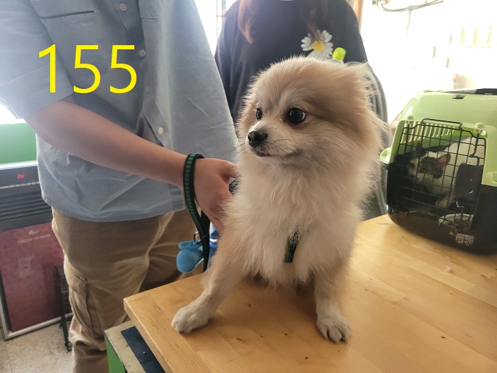 신영재동물병원_428355202400284