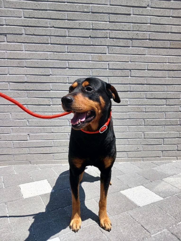 종료(반환) 로트와…