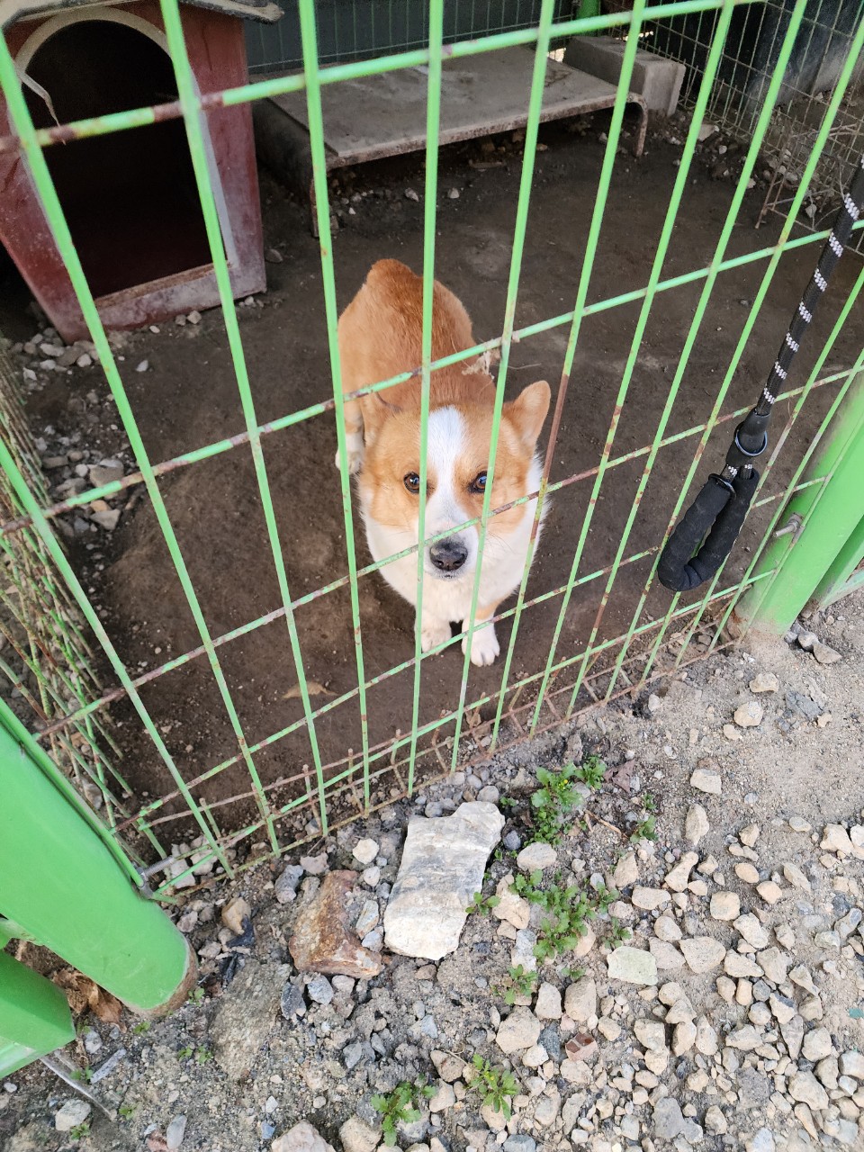 아산동물복지지원센터_444452202401447