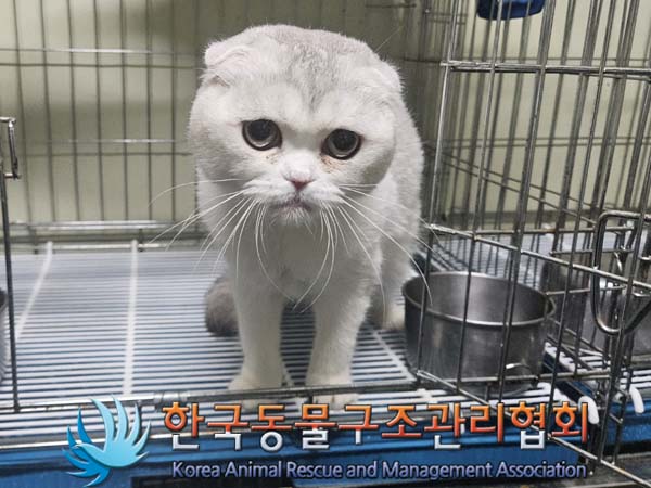 한국동물구조관리협회_411315202400242