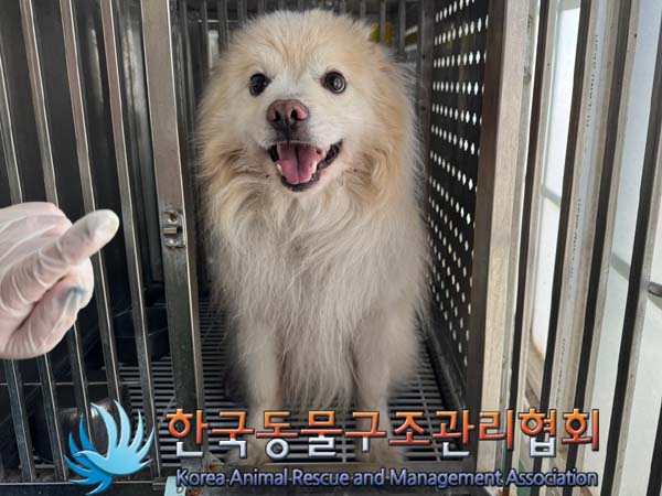 한국동물구조관리협회_441382202400386