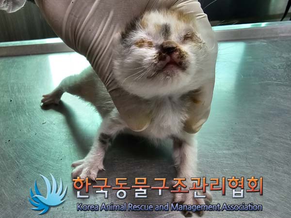 종료(자연사) 한국…