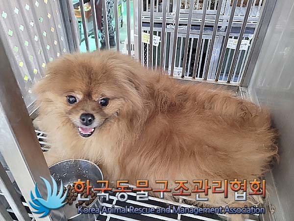 한국동물구조관리협회_411304202400230