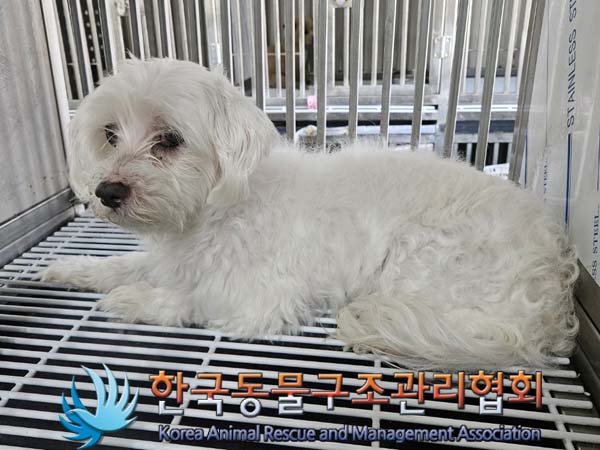 한국동물구조관리협회_411312202400408