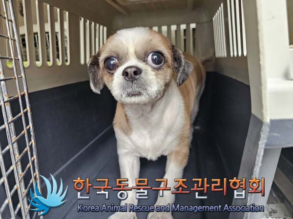 한국동물구조관리협회_411307202400226