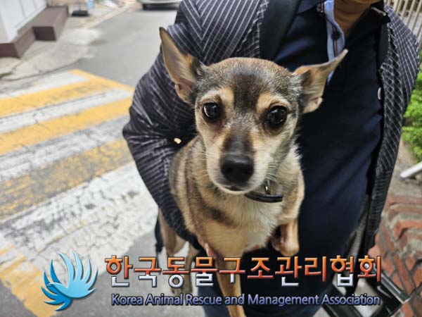 한국동물구조관리협회_411306202400389
