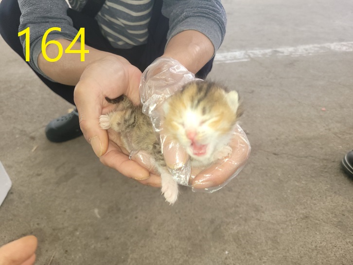 신영재동물병원_428355202400295
