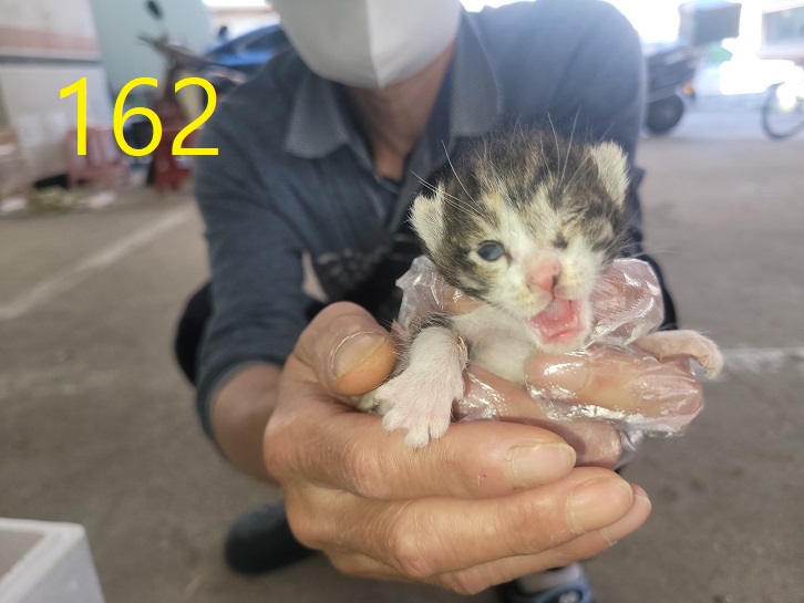 신영재동물병원_428355202400293