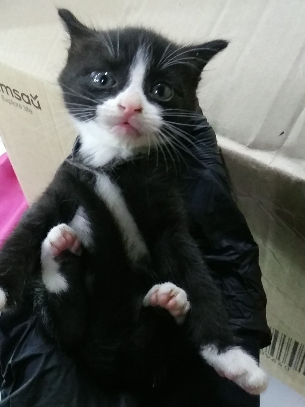 인천광역시수의사회_428352202400217