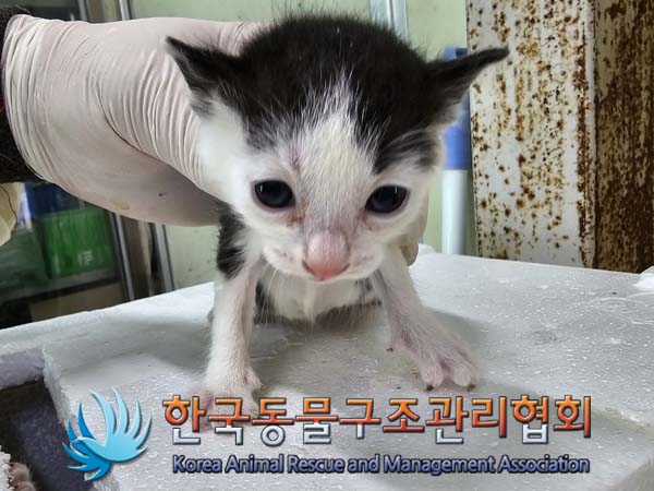 종료(자연사) 한국…