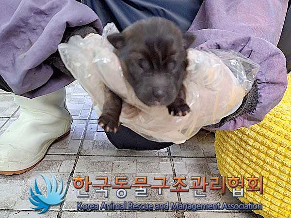 한국동물구조관리협회_441409202400638