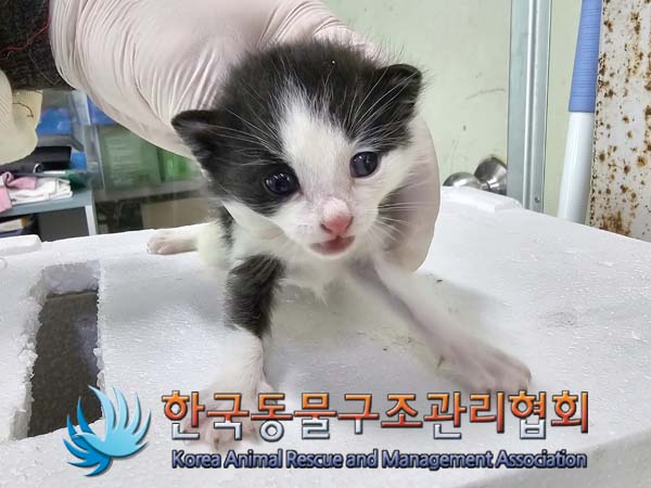 한국동물구조관리협회_411316202400235