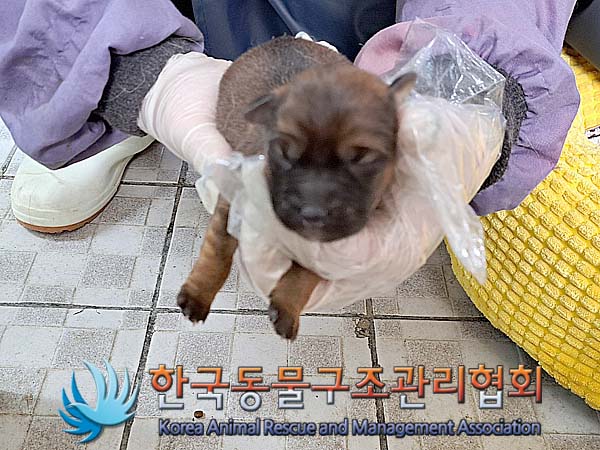 한국동물구조관리협회_441409202400639