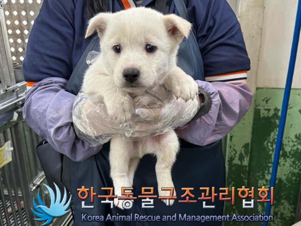 한국동물구조관리협회_411310202400314