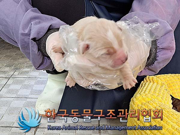 종료(안락사) 믹스…