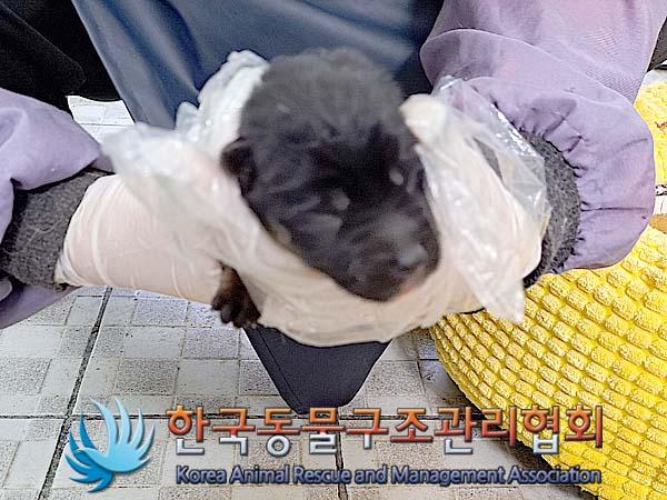 한국동물구조관리협회_441409202400640
