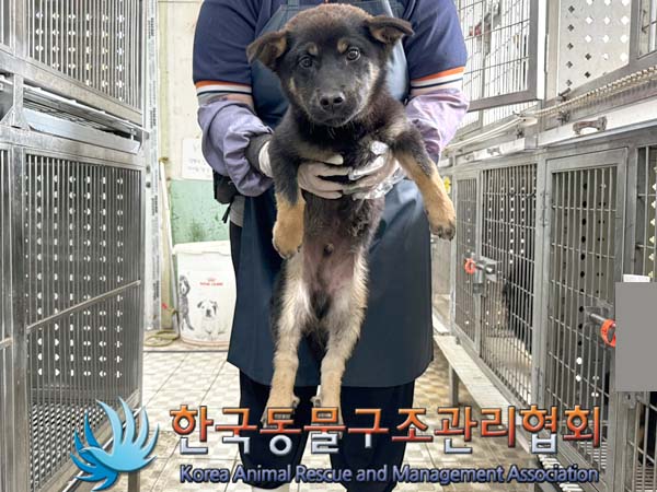 한국동물구조관리협회_441414202400325