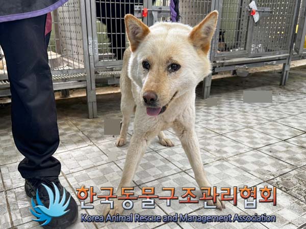 한국동물구조관리협회_441409202400634