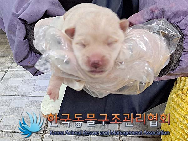 한국동물구조관리협회_441409202400635