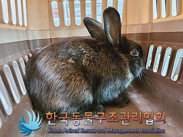 한국동물구조관리협회_441414202400326