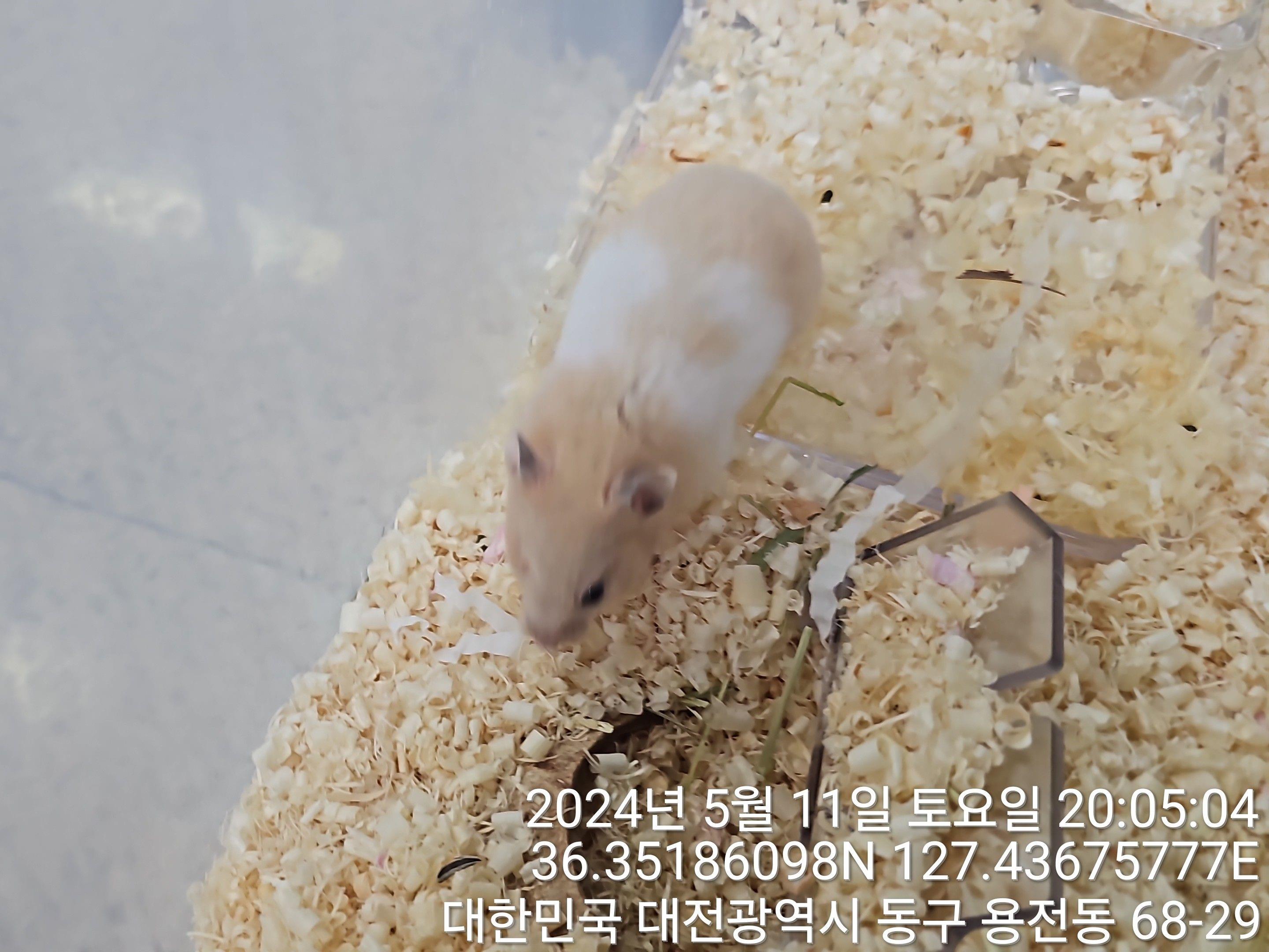 대전동물보호센터_430364202400126
