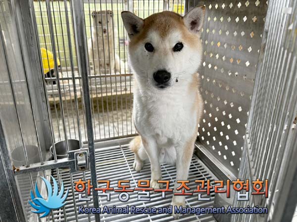 한국동물구조관리협회_441560202400515