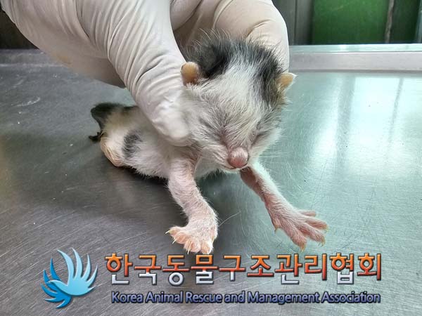 종료(자연사) 한국…
