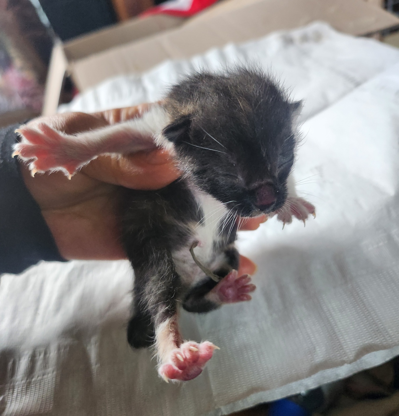 울산유기동물보호센터_431370202400302