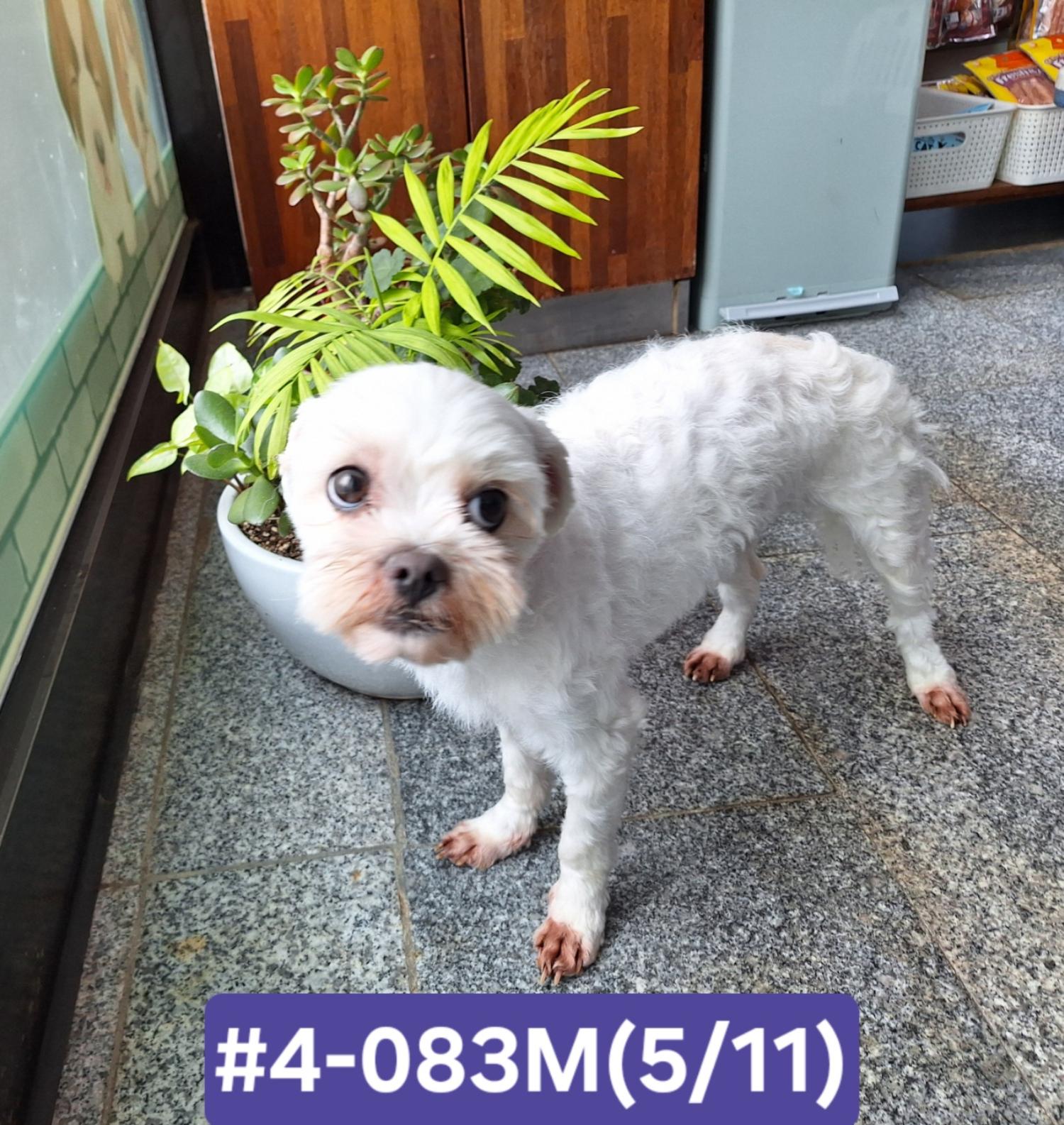 고성군유기동물보호소_448542202400951