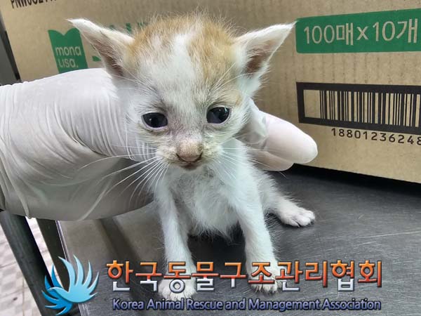 종료(자연사) 한국…