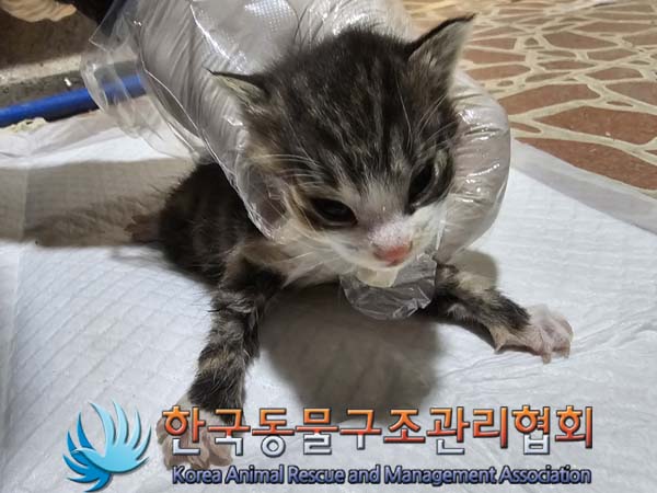 한국동물구조관리협회_411323202400583