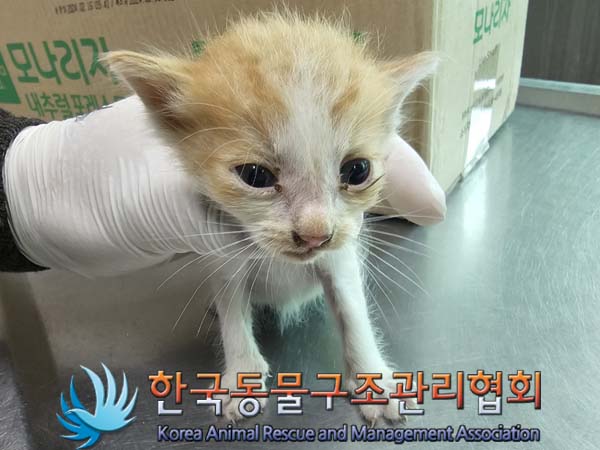 종료(자연사) 한국…