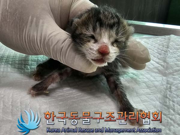 종료(자연사) 한국…