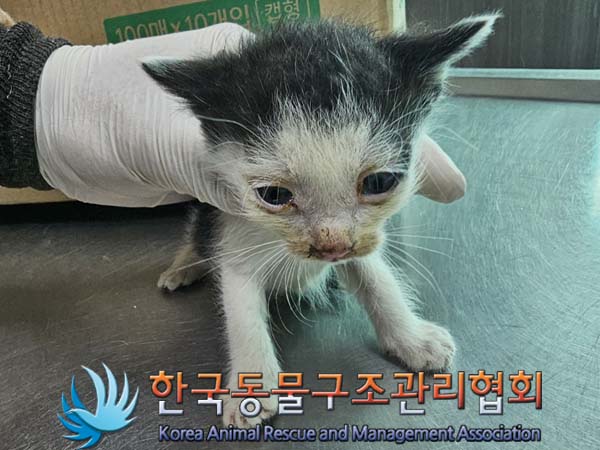 종료(자연사) 한국…